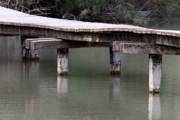Ein Afek - nature reserve 