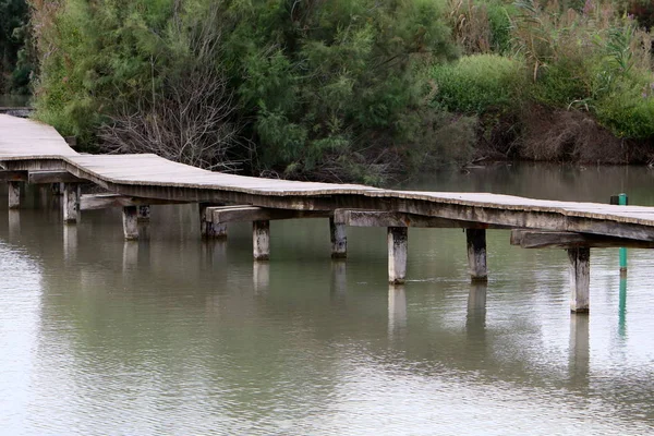 Ein Afek - nature reserve 