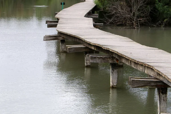 Ein Afek - nature reserve — стокове фото