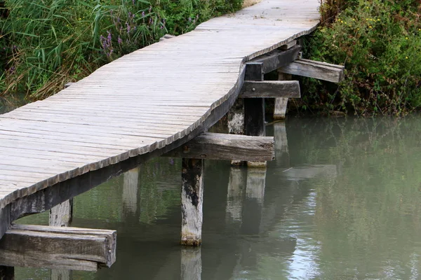 Ein afek - Naturschutzgebiet — Stockfoto