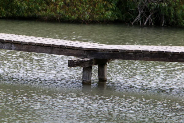 Ein Afek - nature reserve — стокове фото