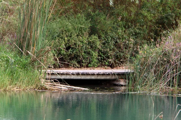Ein Afek - nature reserve 