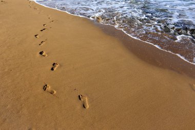 Kumda ayak izleri 