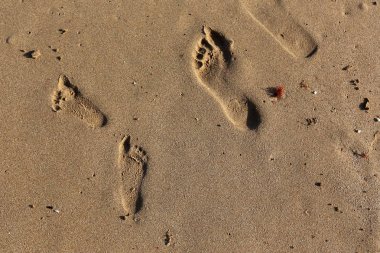 Kumda ayak izleri 
