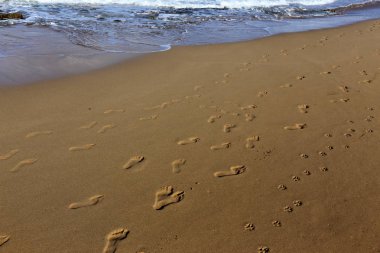 Kumda ayak izleri 
