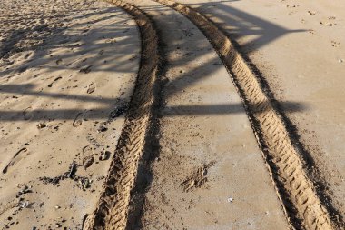 Kumda ayak izleri 