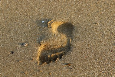 Kumda ayak izleri 