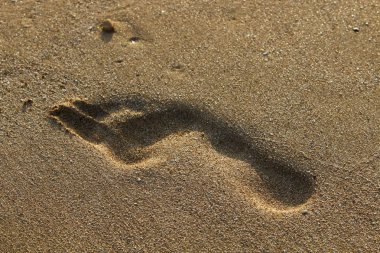 Kumda ayak izleri 