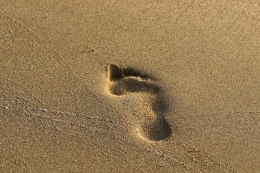 Kumda ayak izleri 