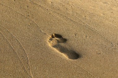 Kumda ayak izleri 