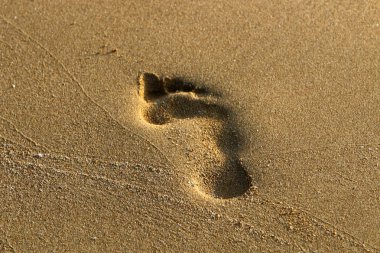 Kumda ayak izleri 