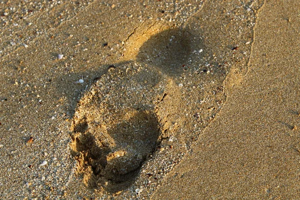 Voetafdrukken in het zand — Stockfoto