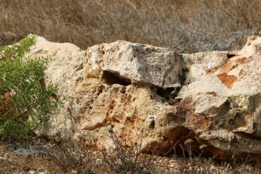 road yakınındaki taş 