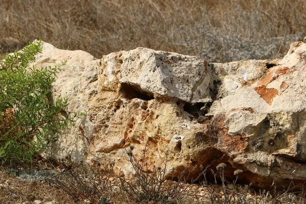 road yakınındaki taş 