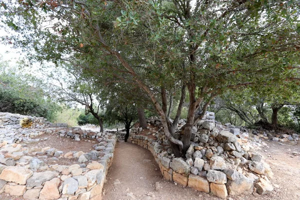 road yakınındaki taş 