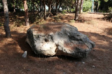 road yakınındaki taş 