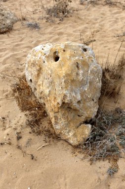 road yakınındaki taş 