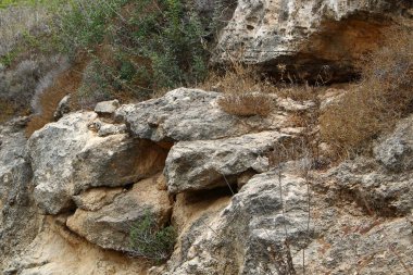 road yakınındaki taş 