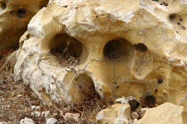 road yakınındaki taş 