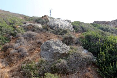 road yakınındaki taş 