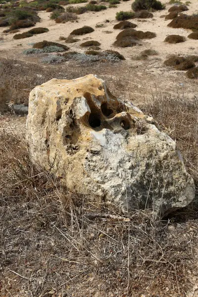 road yakınındaki taş 