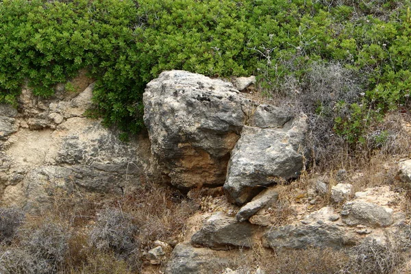 Камни рядом с дорогой — стоковое фото