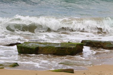 Akdeniz kıyılarında 