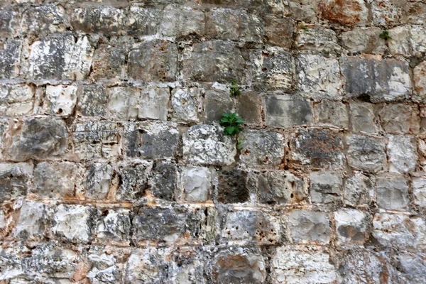 大きい石造り壁 — ストック写真