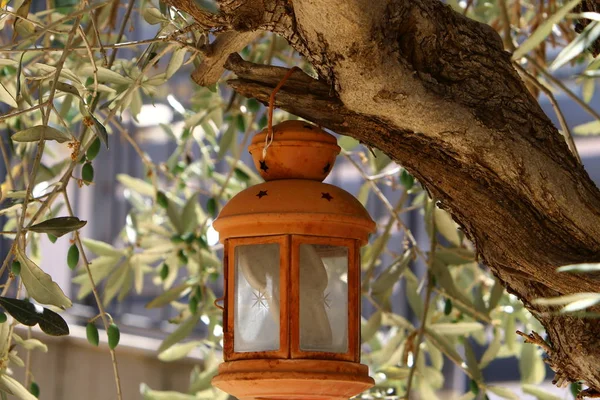 geometri şehir ve doğa 