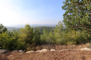 İsrail'in Kuzey manzara 