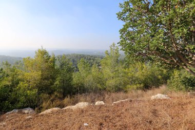 İsrail'in Kuzey manzara 