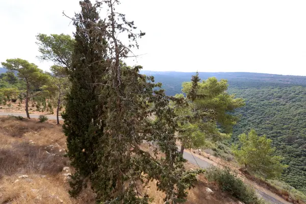 Landschap in het noorden van Israël — Stockfoto