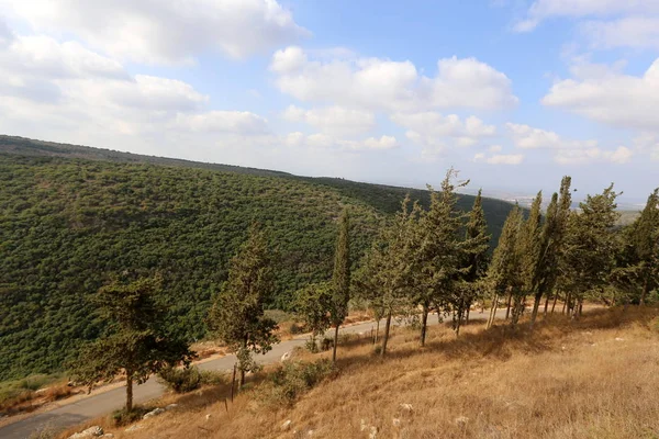 Paisagem no norte de israel — Fotografia de Stock