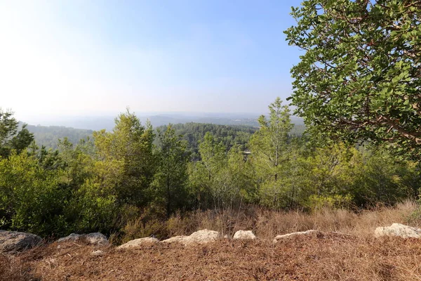 İsrail'in Kuzey manzara 