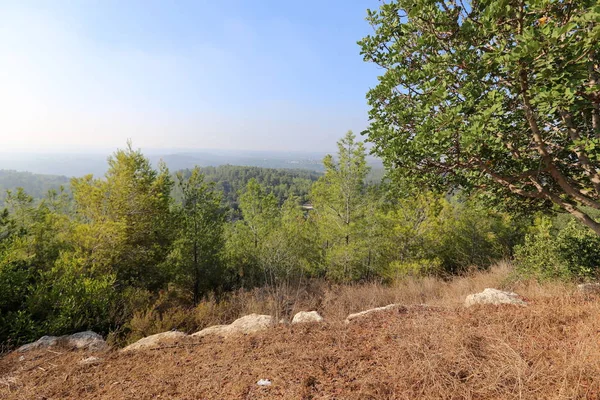 İsrail'in Kuzey manzara 