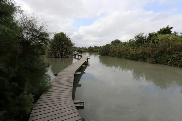 İsrail'in Kuzey manzara 