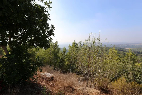 İsrail'in Kuzey manzara 