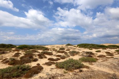 İsrail'in Kuzey manzara 