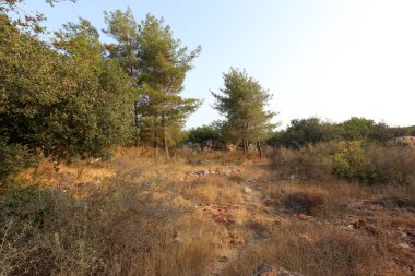 İsrail'in Kuzey manzara 