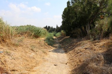 İsrail'in Kuzey manzara 