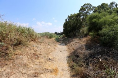 İsrail'in Kuzey manzara 