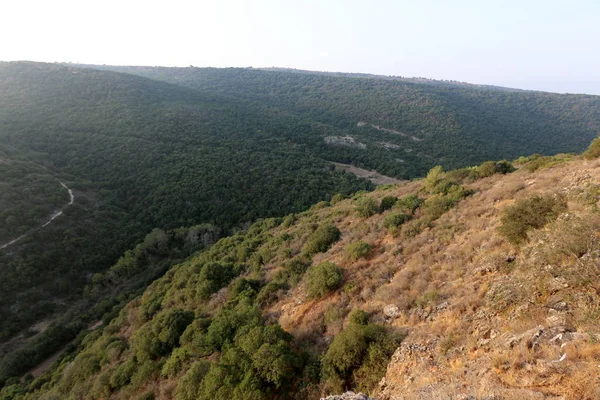 Landscape in the north of israel — Stock Photo, Image