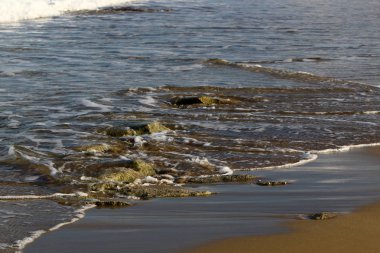 Akdeniz kıyılarında 