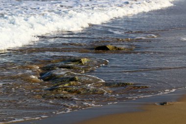 Akdeniz kıyılarında 