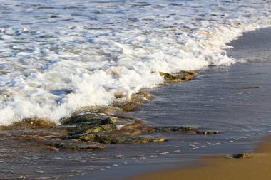 Akdeniz kıyılarında 