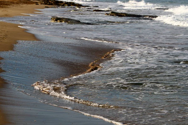 Akdeniz kıyılarında 