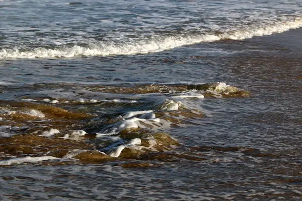 Akdeniz kıyılarında 