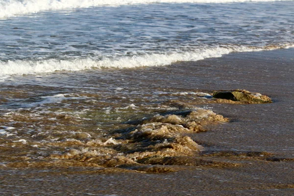 Akdeniz kıyılarında 