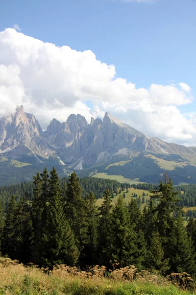 Urlaub in den Alpen — Stockfoto