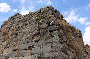 Belvoir - ise Kalesi 